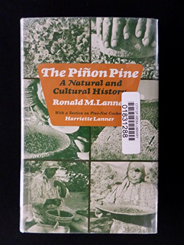 Stock image for The Pinon Pine: A Natural and Cultural History for sale by Jenson Books Inc