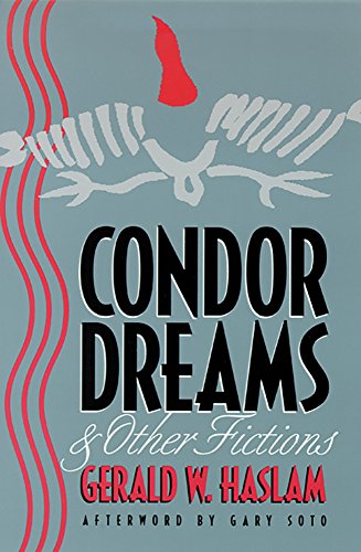 Imagen de archivo de Condor Dreams & Other Fictions a la venta por ilcampo