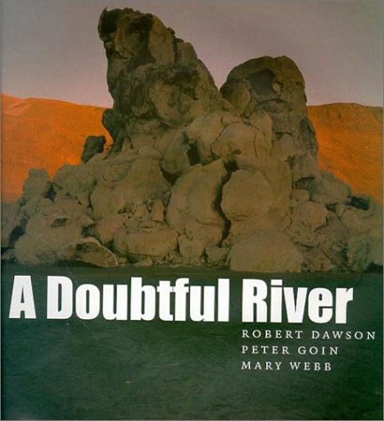 Imagen de archivo de A Doubtful River a la venta por ThriftBooks-Dallas