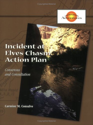 Beispielbild fr Incident at Elves Chasm Action Plan: Packet of 5 zum Verkauf von Revaluation Books