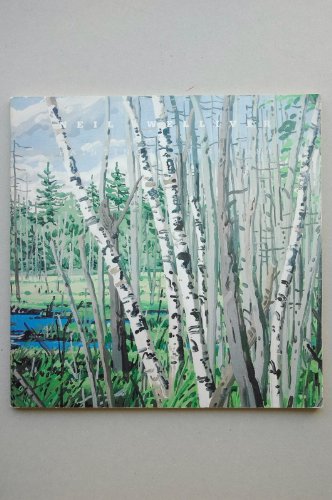 Neil Welliver: Paintings, 1966-1980, with essays by Robert M. Doty, John Bernard Myers and an int...