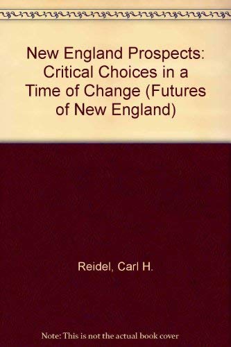 Stock image for New England Prospects : Critical Choices in a Time of Change for sale by Better World Books