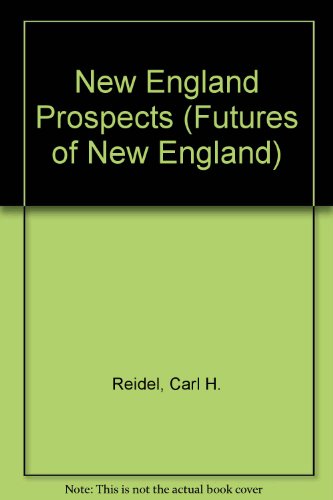 Stock image for New England Prospects: Critical Choices in a Time of Change for sale by Wonder Book