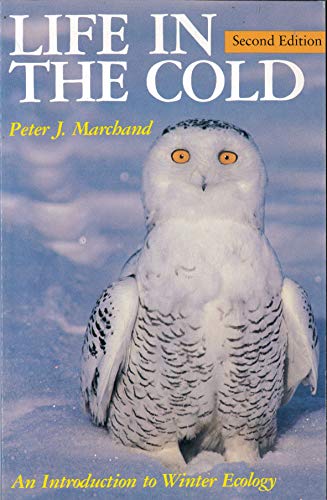 9780874515565: Life in the Cold: An Introduction to Winter Ecology