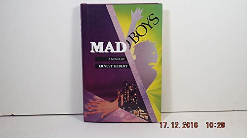 Stock image for Mad Boys: A Novel for sale by Redux Books