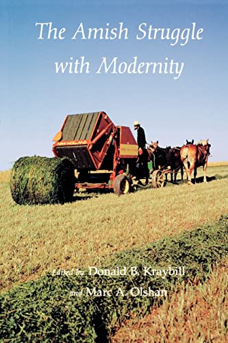 Imagen de archivo de The Amish Struggle with Modernity a la venta por Open Books