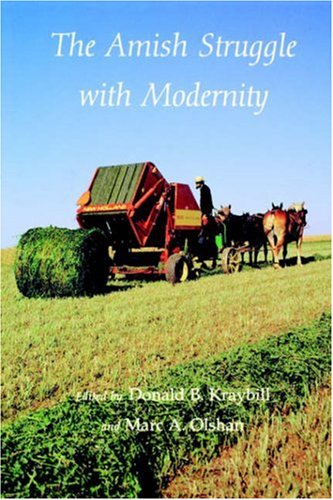9780874516845: The Amish Struggle With Modernity