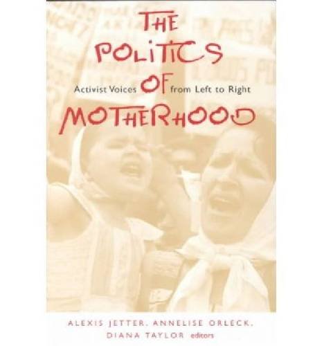 Imagen de archivo de The Politics of Motherhood : Activist Voices from Left to Right a la venta por Better World Books: West