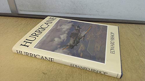 Imagen de archivo de Hurricane a la venta por Books From California