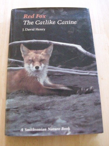 RED FOX; THE CATLIKE CANINE