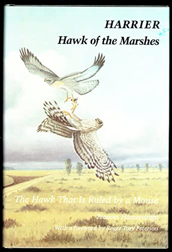 Stock image for Harrier, Hawk of the Marshes : The Hawk That Is Ruled by a Mouse for sale by Better World Books