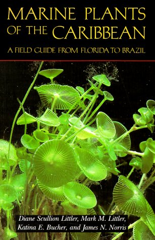 Imagen de archivo de Marine Plants of the Caribbean. A Field Guide from Florida to Brazil a la venta por Irish Booksellers