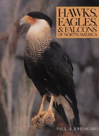 Stock image for Hawks, Eagles, and Falcons of North America : Biology and Natural History for sale by Better World Books