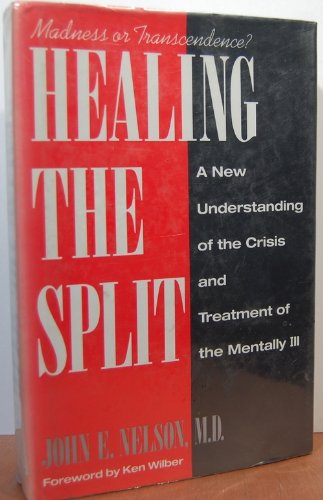 9780874775686: Healing the Split: New Understanding of the Crisis and Treatment of the Mentally Ill