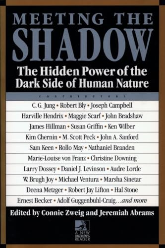 9780874776188: Meeting the Shadow: The Hidden Power of the Dark Side of Human Nature