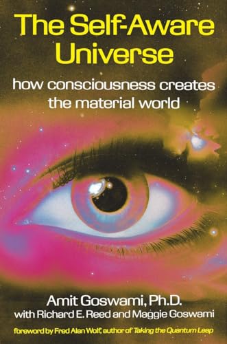 Beispielbild fr The Self-Aware Universe: How Consciousness Creates the Material World zum Verkauf von Books From California