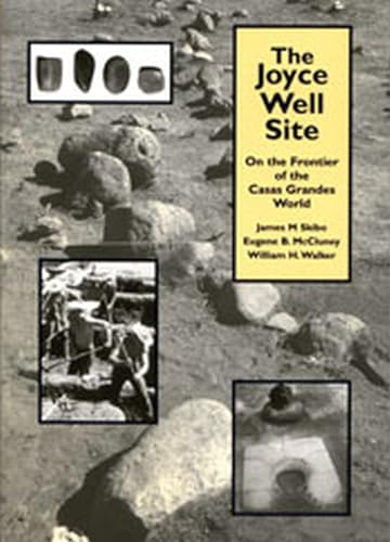Imagen de archivo de The Joyce Well Site: On the Frontier of the Casas Grandes World a la venta por Riverby Books
