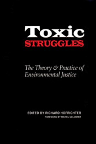 Stock image for Toxic Struggles: The Theory and Practice of Environmental Justice for sale by BooksRun