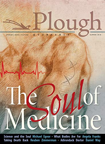 Stock image for Plough Quarterly No. 17- The Soul of Medicine (Plough Quarterly, 17) for sale by Bank of Books