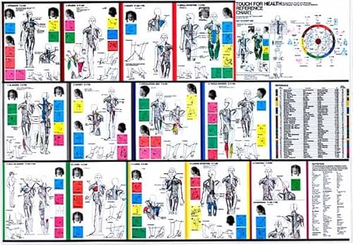 9780875167732: Touch for Health Reference Chart