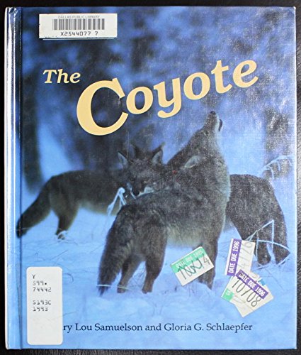 Stock image for The Coyote (Dillon Remarkable Animals Book) for sale by Library House Internet Sales