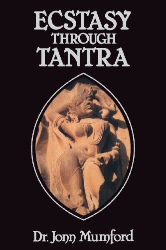 9780875424941: Ecstasy Through Tantra (Llewellyns Tantra and Sexual Arts Series)