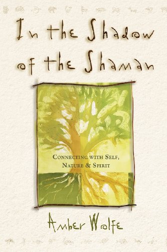 In the Shadow of the Shaman: Connecting with Self, Nature & Spirit (Llewellyn's New Worlds Spirit...