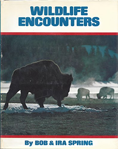 Wildlife encounters (9780875640129) by Spring, Bob