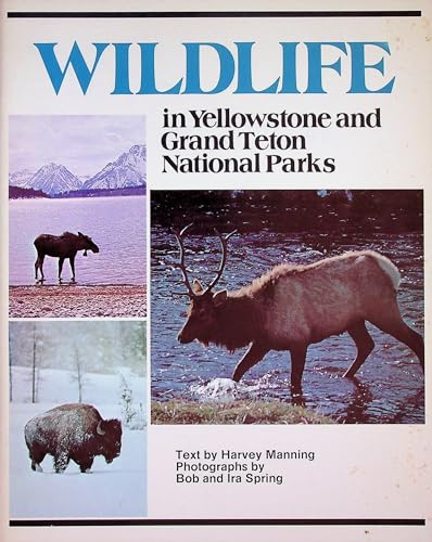 Wildlife in Yellowstone and Grand Teton National Parks (9780875646268) by Manning, Harvey; Spring, Bob