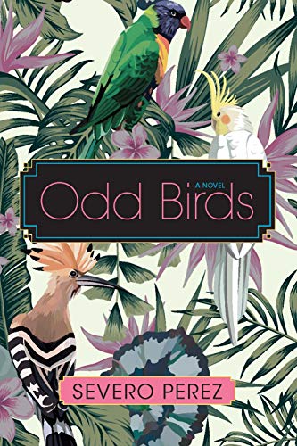 Beispielbild fr Odd Birds zum Verkauf von Buchpark