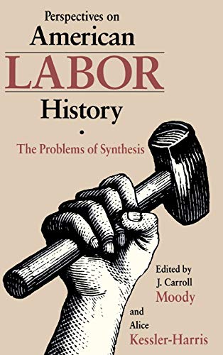 9780875801506: Perspectives on American Labour History: The Problems of Synthesis