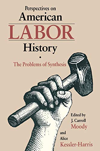 Imagen de archivo de Perspectives on American Labor History: The Problems of Synthesis a la venta por SecondSale