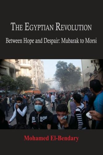 Stock image for The Egyptian Revolution: Between Hope and Despair: Mubarak to Morsi for sale by MyLibraryMarket