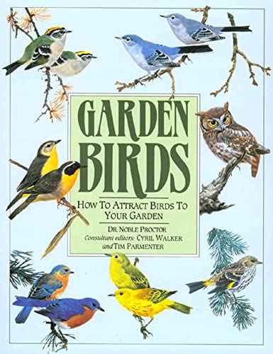 Beispielbild fr Garden Birds: How To Attract Birds To Your Garden zum Verkauf von Once Upon A Time Books