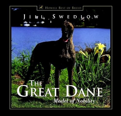 The Great Dane: Model of Nobility