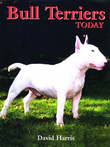Stock image for Bull Terriers Today for sale by Books of the Smoky Mountains