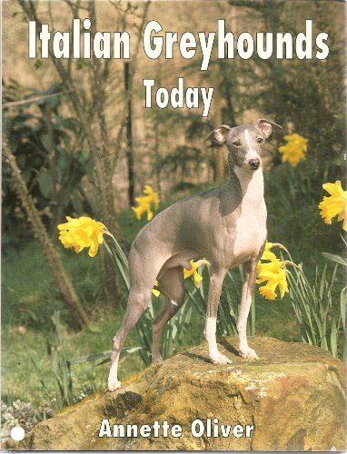 Beispielbild fr Italian Greyhounds Today zum Verkauf von Books of the Smoky Mountains