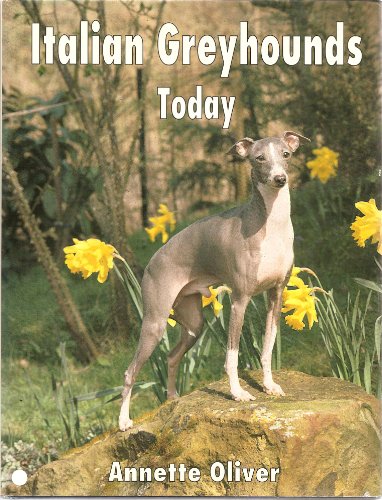 Imagen de archivo de Italian Greyhounds Today a la venta por Books of the Smoky Mountains