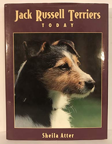 Stock image for JACK RUSSELL TERRIERS TODAY. By Sheila Atter. for sale by Coch-y-Bonddu Books Ltd