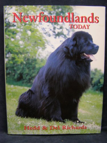 Stock image for Newfoundlands Today for sale by HPB-Diamond