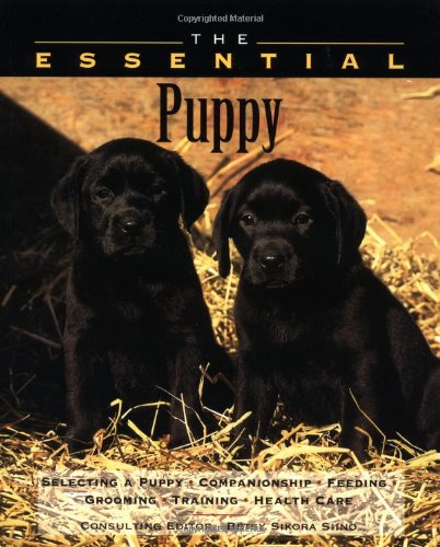 Stock image for The Essential Puppy (The Essential Guides) for sale by WorldofBooks
