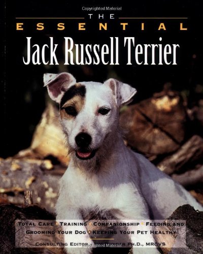 Imagen de archivo de The Essential Jack Russell Terrier (The Essential Guides) a la venta por WorldofBooks