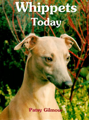 9780876053591: Whippets Today