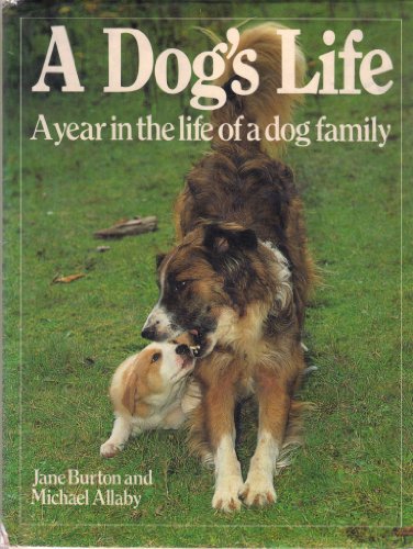 Stock image for A Dog's Life: A Year in the Life of a Dog Family for sale by Wonder Book
