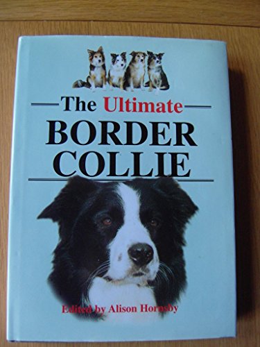 Imagen de archivo de The Ultimate Border Collie a la venta por Louis Tinner Bookshop