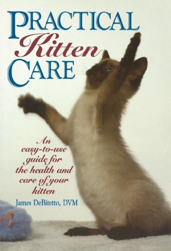 Stock image for Practical Kitten Care for sale by Wonder Book