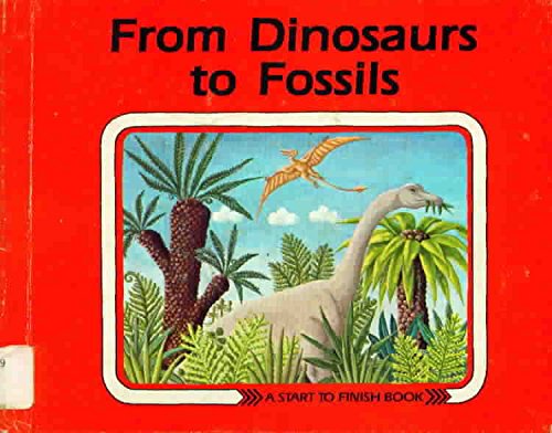 Stock image for From Dinosaurs to Fossils for sale by 2Vbooks