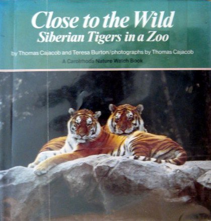 Stock image for Close to the Wild : Siberian Tigers in a Zoo for sale by Better World Books: West
