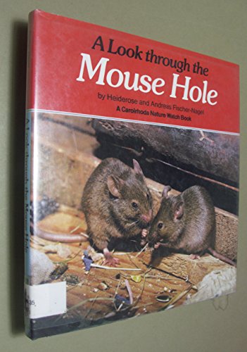 Beispielbild fr A Look Through the Mouse Hole zum Verkauf von Better World Books