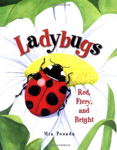 Imagen de archivo de Ladybugs: Red, Fiery, and Bright a la venta por WorldofBooks